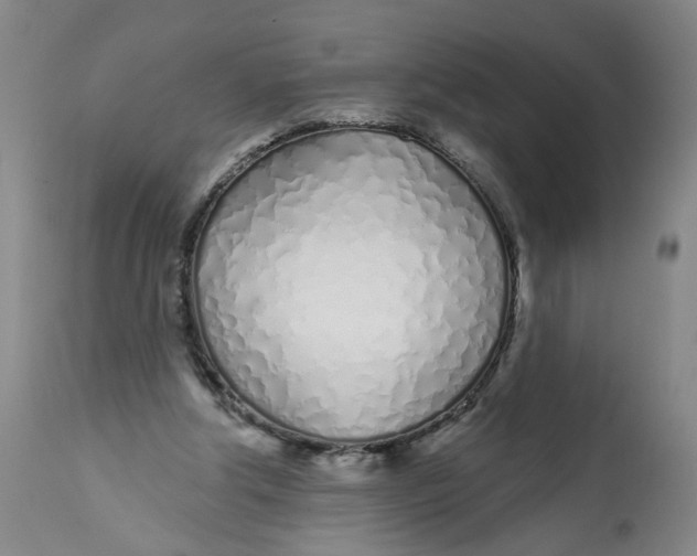 X0000113200202200910011304