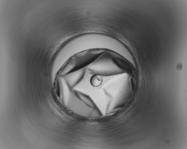 X0000113200203200910011304