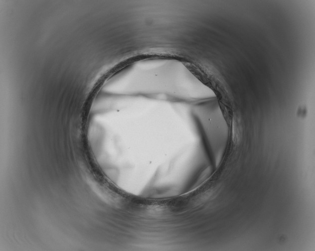 X0000113200204200910011304