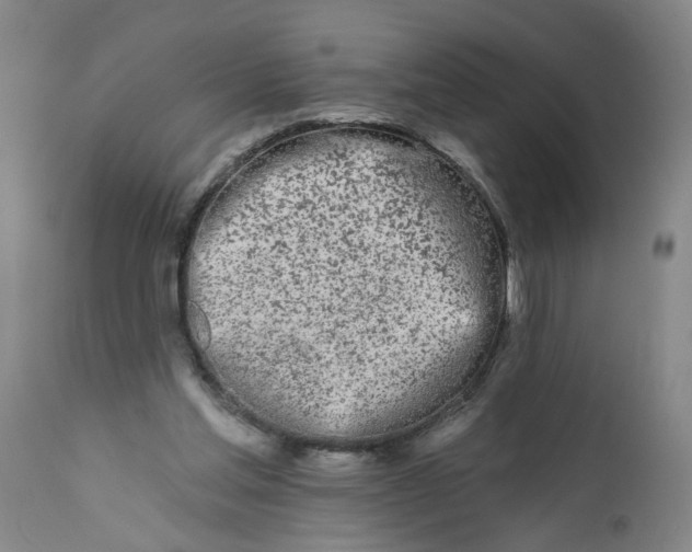 X0000113200205200910011304