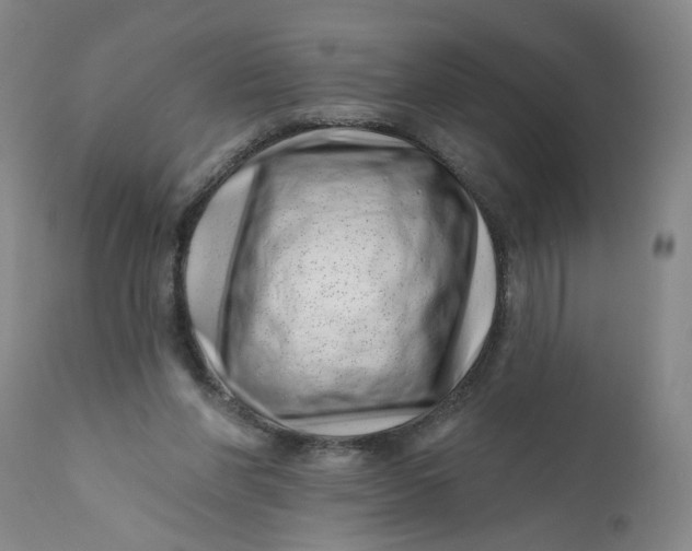 X0000113200206200910011304