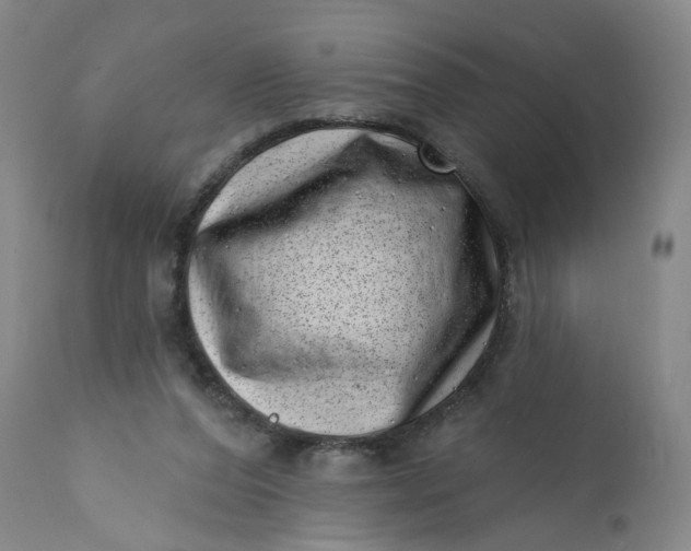 X0000113200208200910011304