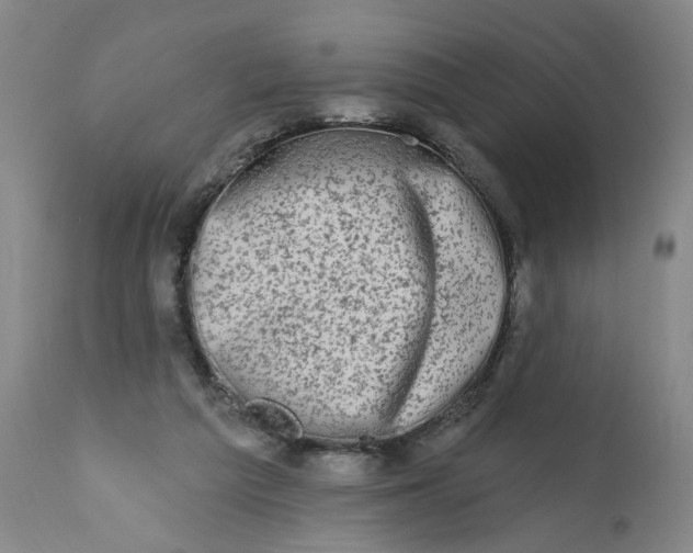 X0000113200209200910011304