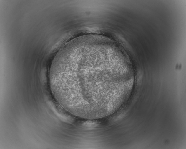 X0000113200213200910011304