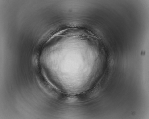 X0000113200214200910011304