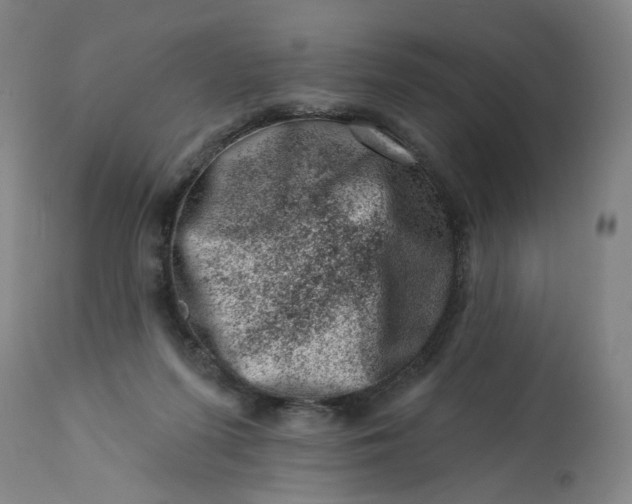 X0000113200215200910011304