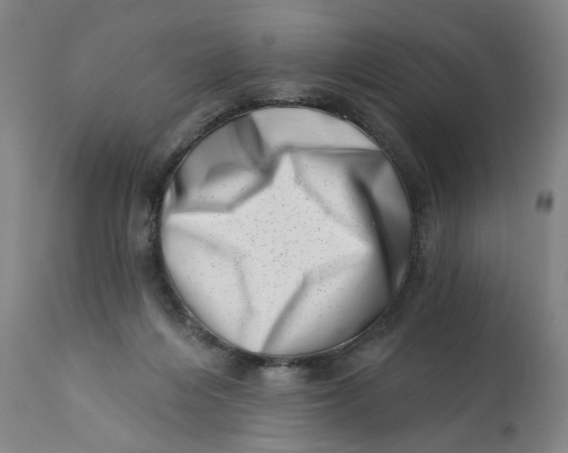 X0000113200216200910011304