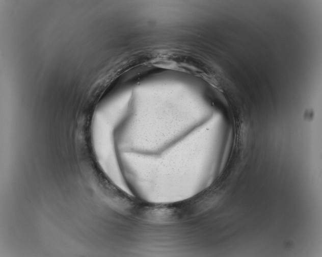 X0000113200217200910011304