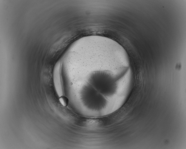 X0000113200218200910011304