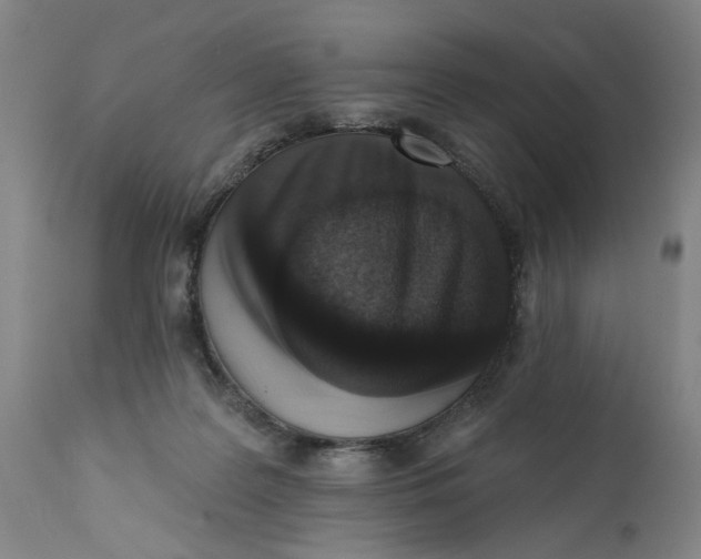 X0000113200219200910011304