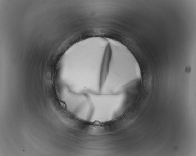 X0000113200220200910011304