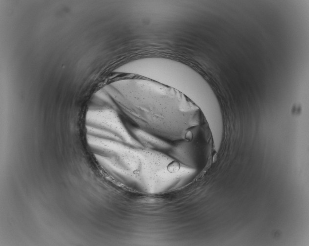 X0000113200221200910011304