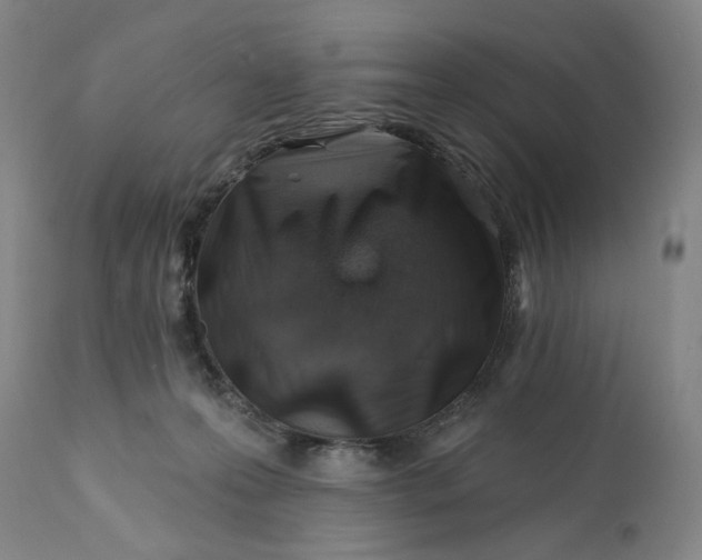 X0000113200223200910011304