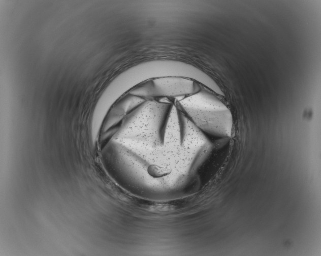 X0000113200225200910011304