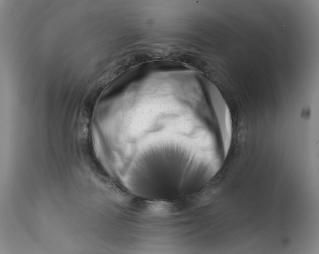 X0000113200226200910011304