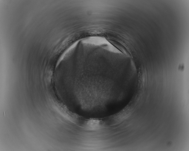 X0000113200227200910011304