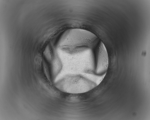 X0000113200228200910011304