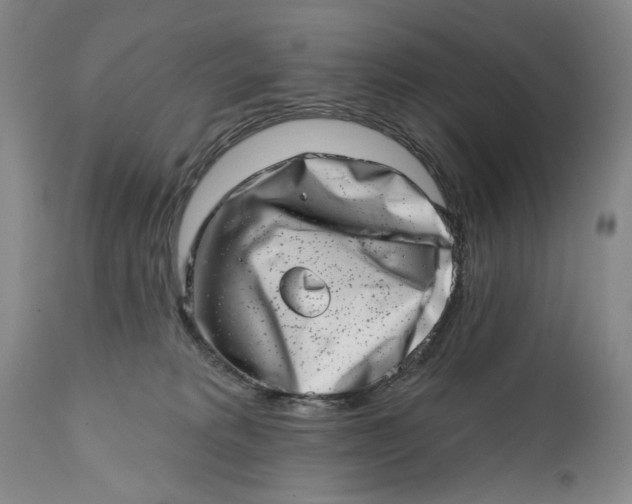 X0000113200229200910011304