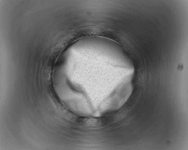 X0000113200230200910011304