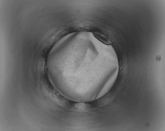 X0000113200231200910011304