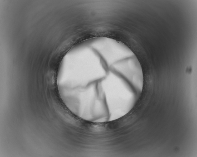 X0000113200232200910011304