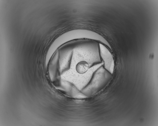 X0000113200233200910011304