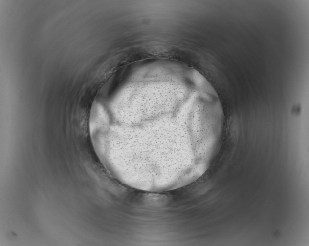 X0000113200234200910011304