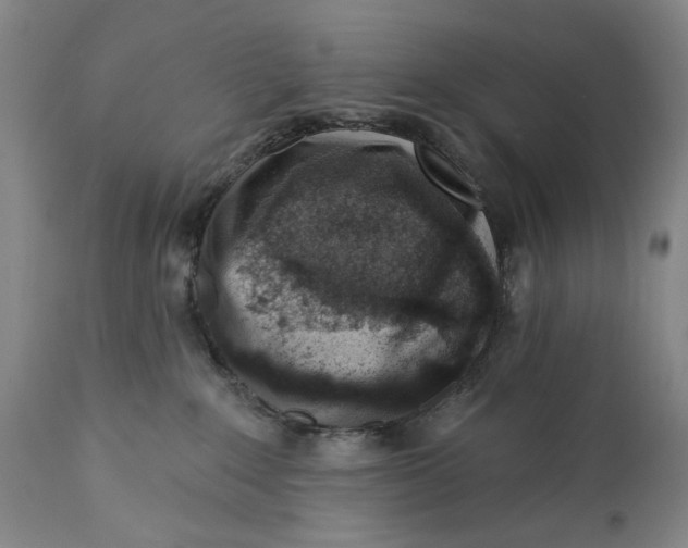 X0000113200235200910011304