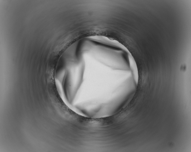 X0000113200236200910011304