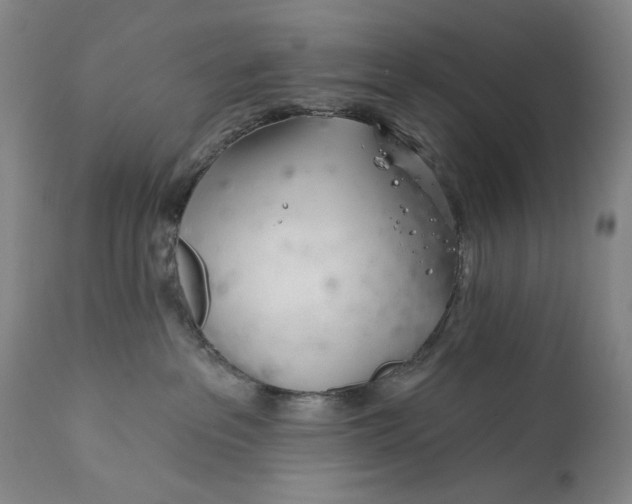 X0000113200237200910011304