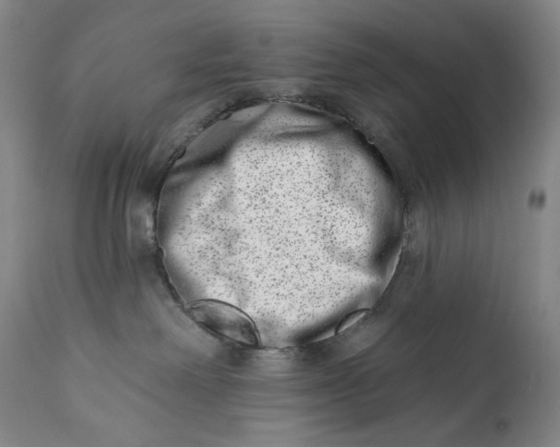 X0000113200238200910011304