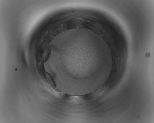 X0000113200239200910011304