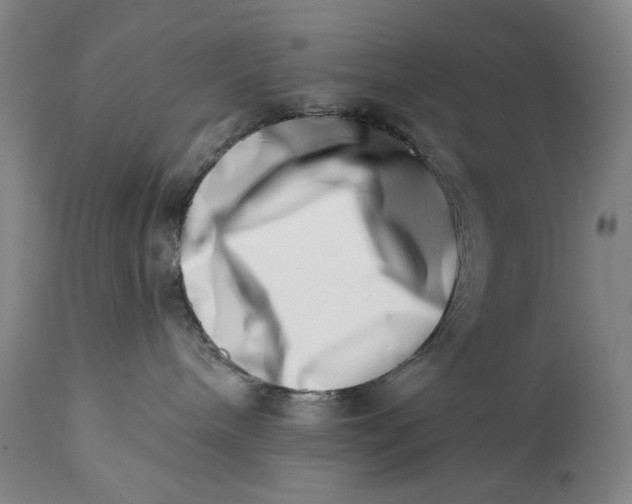 X0000113200240200910011304