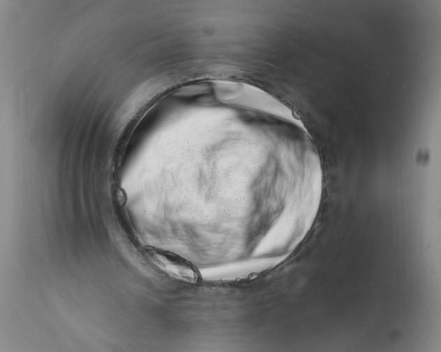 X0000113200242200910011303