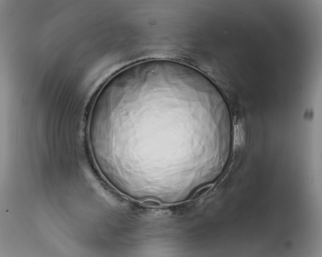 X0000113200243200910011303