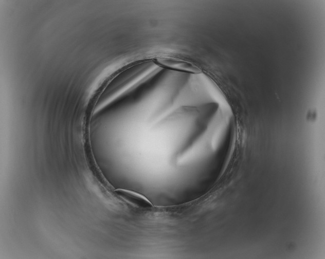 X0000113200244200910011303