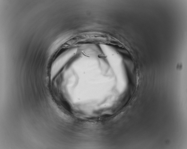 X0000113200245200910011303