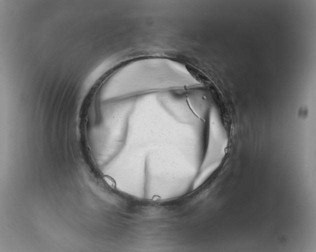 X0000113200246200910011303