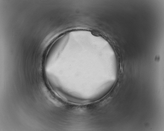 X0000113200247200910011303