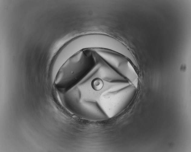 X0000113200248200910011303