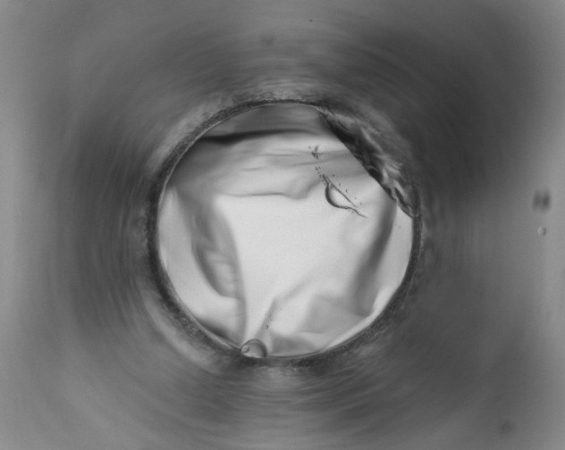 X0000113200250200910011303