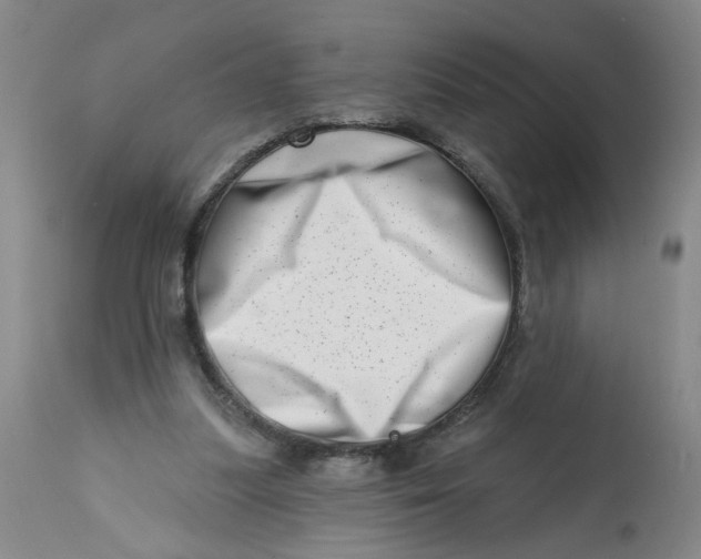 X0000113200251200910011303