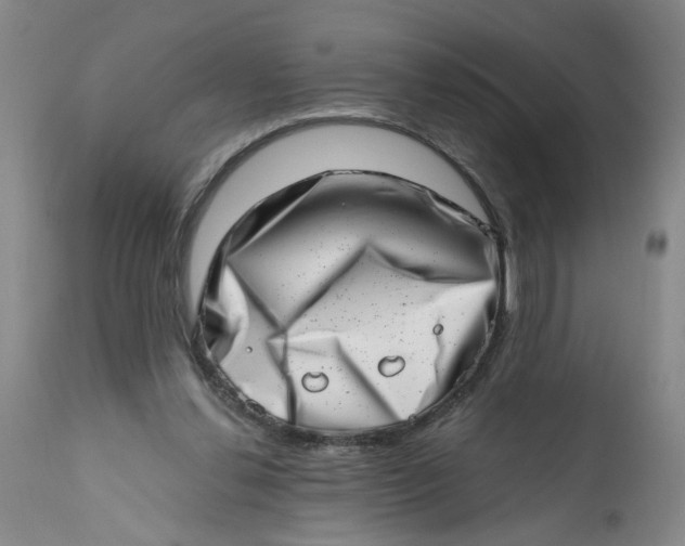 X0000113200252200910011303