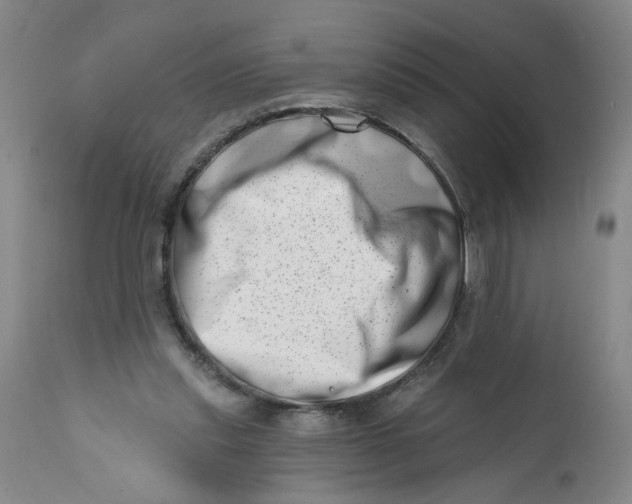 X0000113200253200910011303