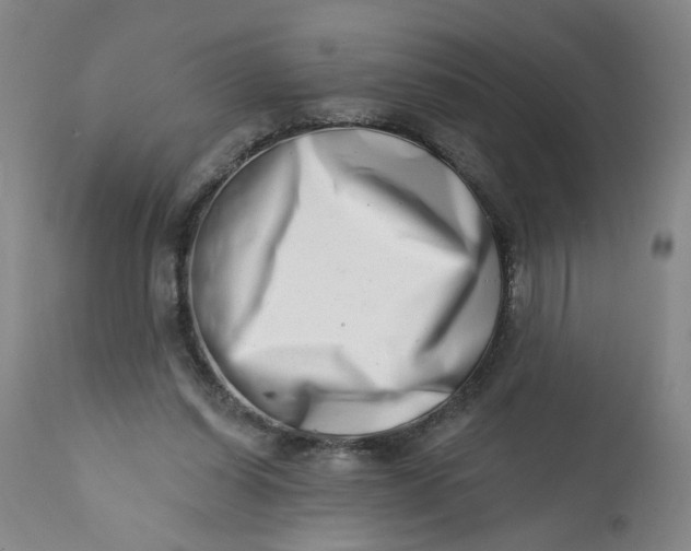 X0000113200254200910011303