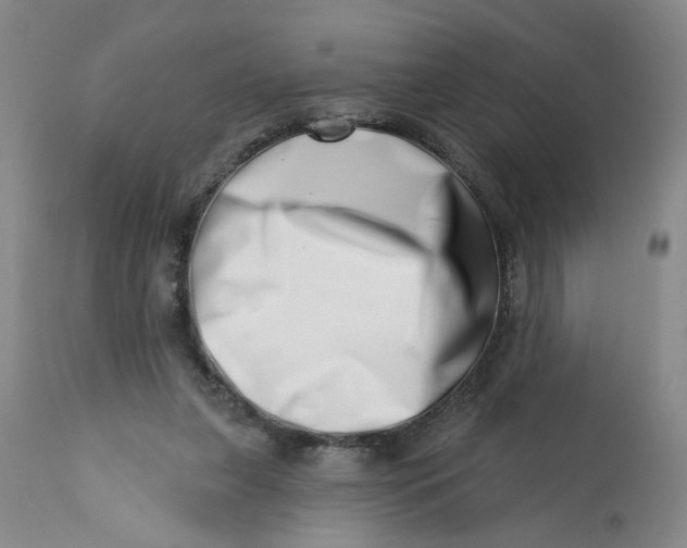 X0000113200255200910011303