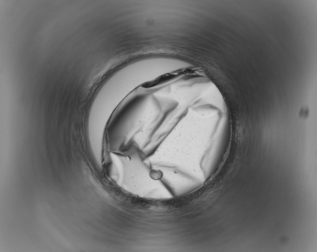 X0000113200256200910011303