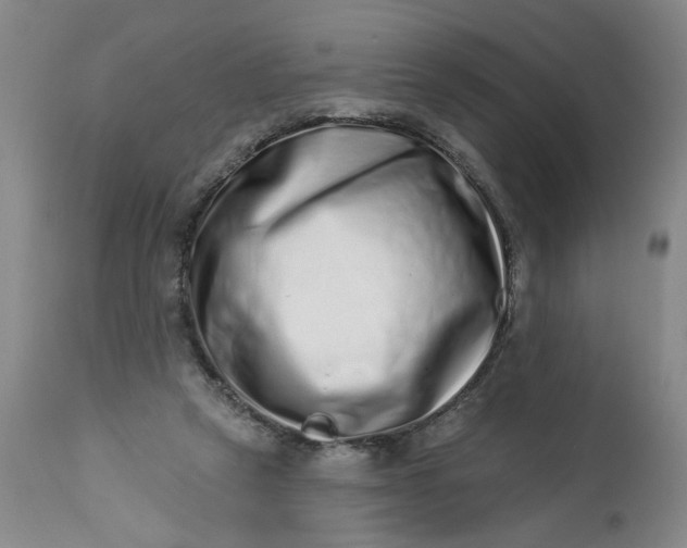 X0000113200257200910011303