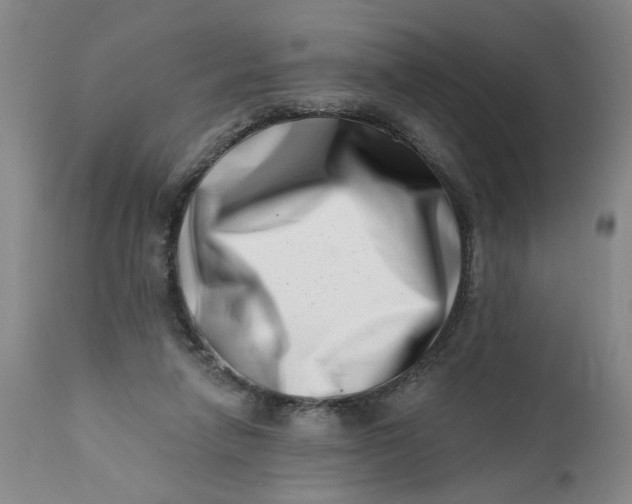 X0000113200258200910011303