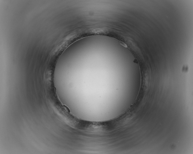 X0000113200260200910011303